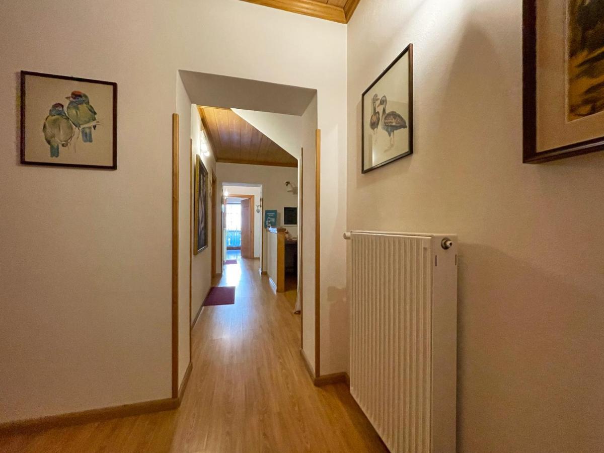 Lozzo Cadore Casa Cadore מראה חיצוני תמונה